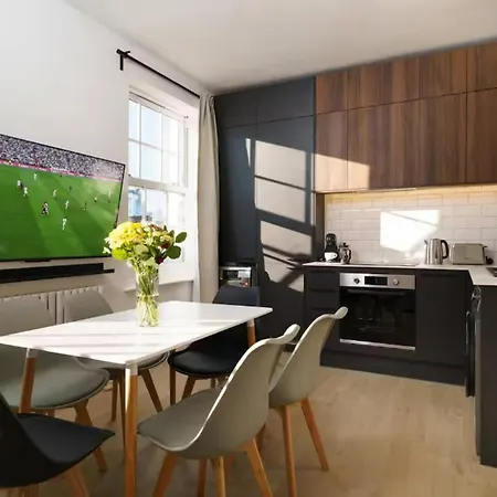 Super Elegant Carlos Apartment Dublin